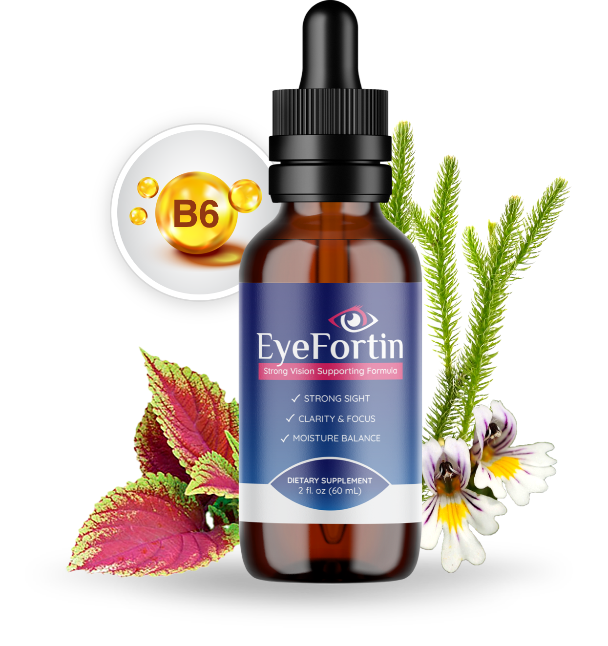 Eyefortin