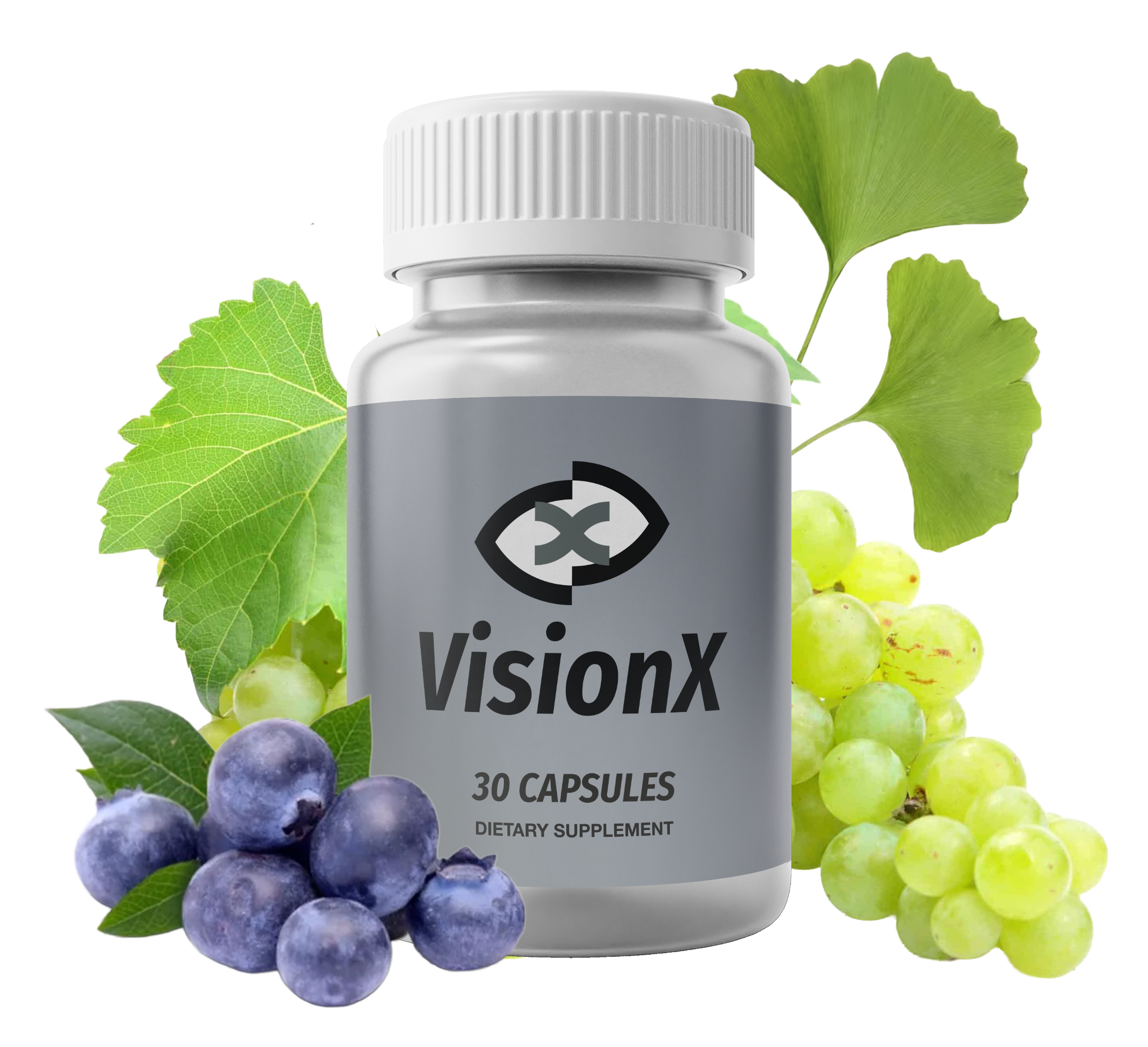 VisionX